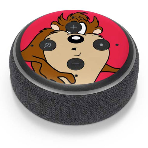 Looney Tunes Tasmanian Devil Zoomed In Amazon Echo Dot Skin