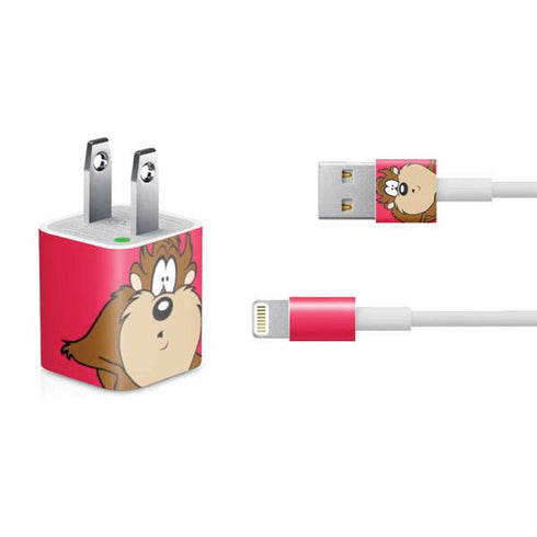 Looney Tunes Tasmanian Devil Zoomed In iPhone Charger (5W USB) Skin