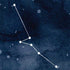 Taurus Constellation iPhone X Pro Case