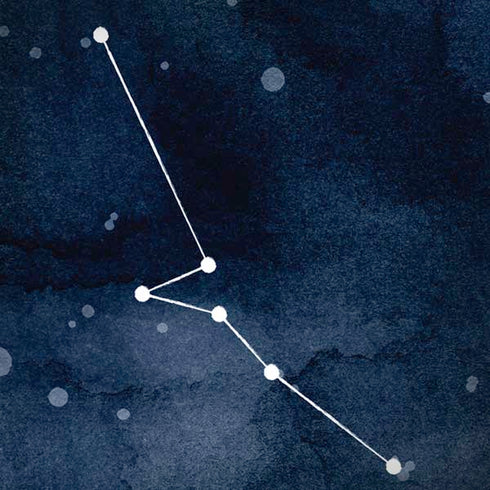 Taurus Constellation iPhone X Skin