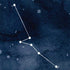 Taurus Constellation iPhone XR Skin