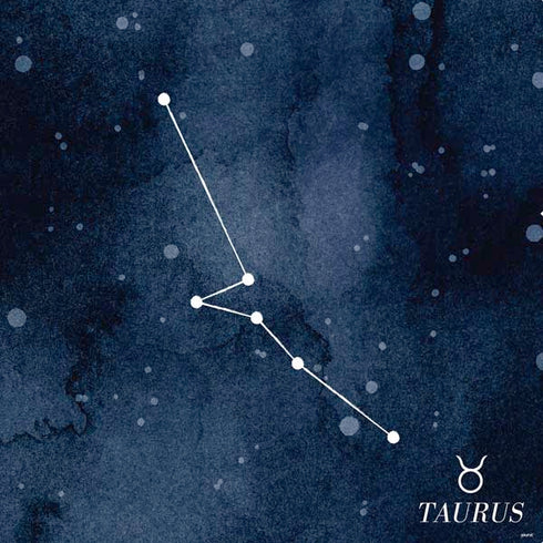 Taurus Constellation PS4 Slim Skin