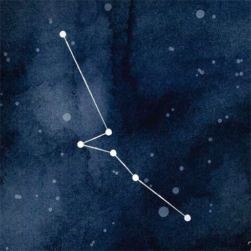 Taurus Constellation HP Spectre Skin