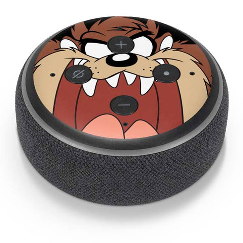 Looney Tunes Taz Amazon Echo Dot Skin