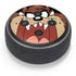 Looney Tunes Taz Amazon Echo Dot Skin