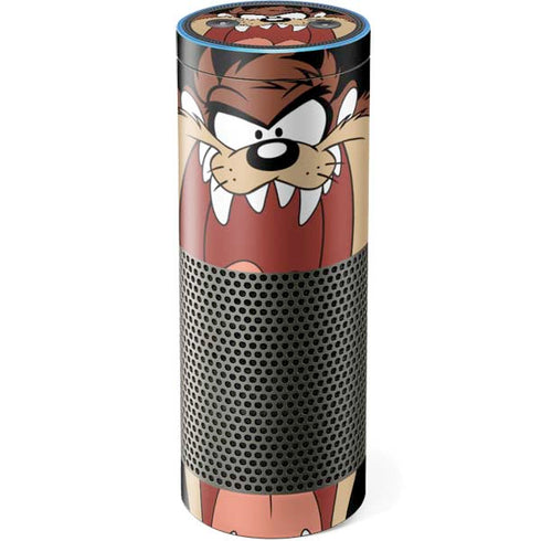 Looney Tunes Taz Amazon Echo Skin