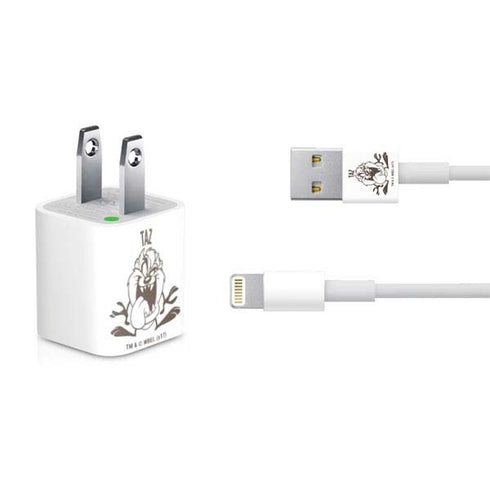Looney Tunes Taz Big Head iPhone Charger (5W USB) Skin
