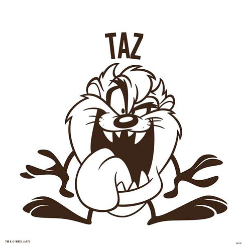 Looney Tunes Taz Big Head PS4 Pro Bundle Skin