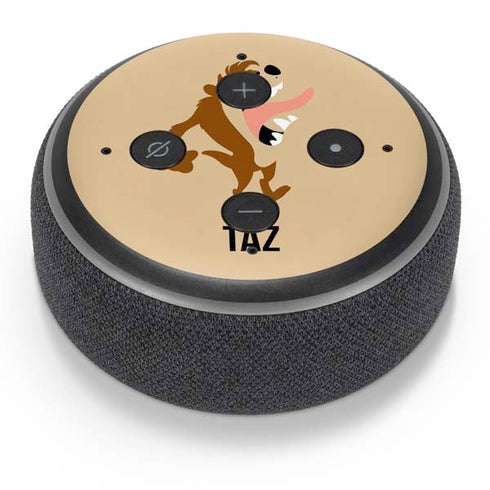 Looney Tunes Taz Identity Amazon Echo Dot Skin