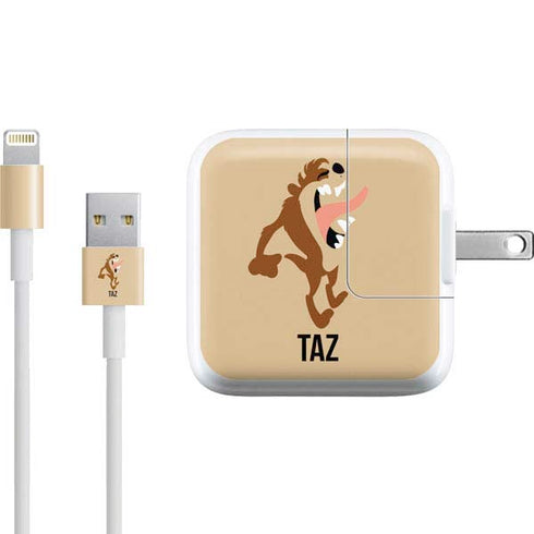 Looney Tunes Taz Identity iPad Charger (10W USB) Skin