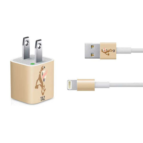 Looney Tunes Taz Identity iPhone Charger (5W USB) Skin