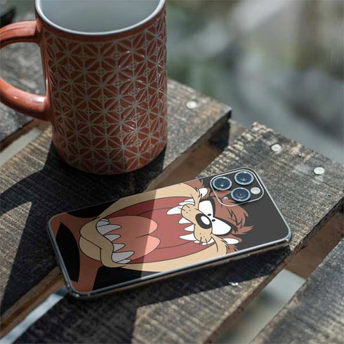 Looney Tunes Taz iPhone 11 Pro Skin