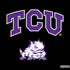 Texas Christian University TCU Horned Frogs Logo Dell Alienware Skin