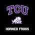 Texas Christian University TCU Horned Frogs Logo Amazon Echo Skin
