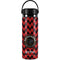 Wizarding Worlds Harry Potter Team Gryffindor Hydro Flask 20oz Wide Mouth Skin