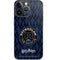 Wizarding Worlds Harry Potter Team Ravenclaw iPhone 15 Pro Skin