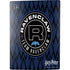 Wizarding Worlds Harry Potter Team Ravenclaw PS5 Digital Edition Console Skin