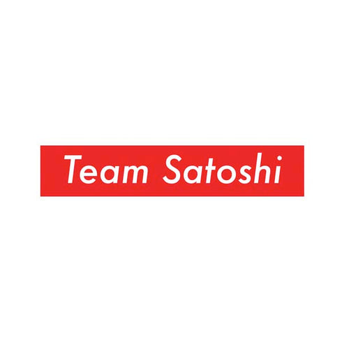 Team Satoshi PS4 Slim Skin