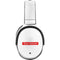 Team Satoshi Skullcandy Venue Skin