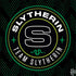 Wizarding Worlds Harry Potter Team Slytherin Legion Y720 Skin