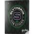 Wizarding Worlds Harry Potter Team Slytherin PS5 Digital Edition Console Skin