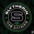 Wizarding Worlds Harry Potter Team Slytherin HP Spectre Skin