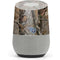 NFL Tennessee Titans Realtree AP Camo Google Home Skin