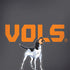 University of Tennessee-Knoxville Vols Galaxy Note 8 Skin