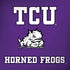Texas Christian University Mascot Dell Alienware Skin