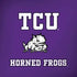 Texas Christian University Mascot Amazon Echo Skin