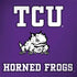 Texas Christian University Mascot Legion Y720 Skin