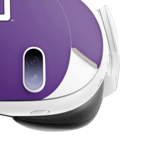 Texas Christian University Mascot Meta Quest 3 Skin