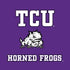 Texas Christian University Mascot Moto E5 Play Skin