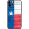 Texas Flag Light Wood iPhone 11 Pro Skin
