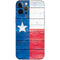 Texas Flag Light Wood iPhone 12 Pro Max Skin