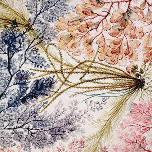 William Kilburn Textile Design iPhone XS Max Skin