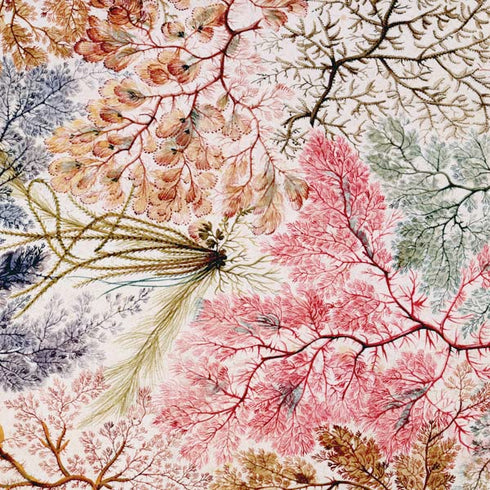 William Kilburn Textile Design PS4 Pro Bundle Skin