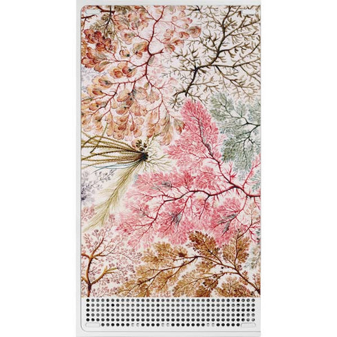 William Kilburn Textile Design Xbox Series S Bundle Skin