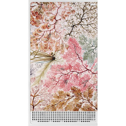 William Kilburn Textile Design Xbox Series S Console Skin