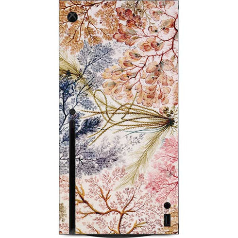 William Kilburn Textile Design Xbox Series X Console Skin