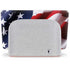 The American Flag Google Home Hub Skin