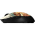 The Arts: Dance by Mucha G Pro Wireless Gaming Mouse Skin