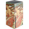 Alphonse Mucha The Arts, Dance Xbox Series X Console Skin