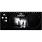 Warner Bros The Exorcist The Exorcist Xbox Adaptive Controller Skin