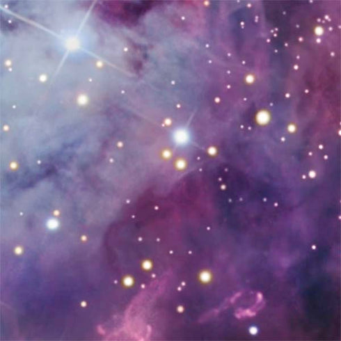 The Fox Fur Nebula Nintendo 2DS XL (2017) Skin