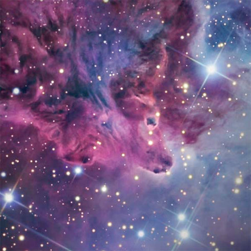 The Fox Fur Nebula Galaxy Note 8 Skin