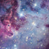 The Fox Fur Nebula iPhone X Pro Case