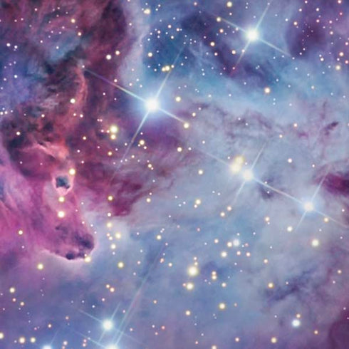 The Fox Fur Nebula iPhone XS Max Skin