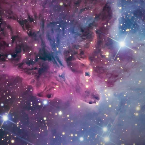 The Fox Fur Nebula Moto G6 Skin