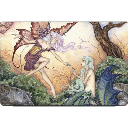 Amy Brown The Introduction Dell Vostro Skin